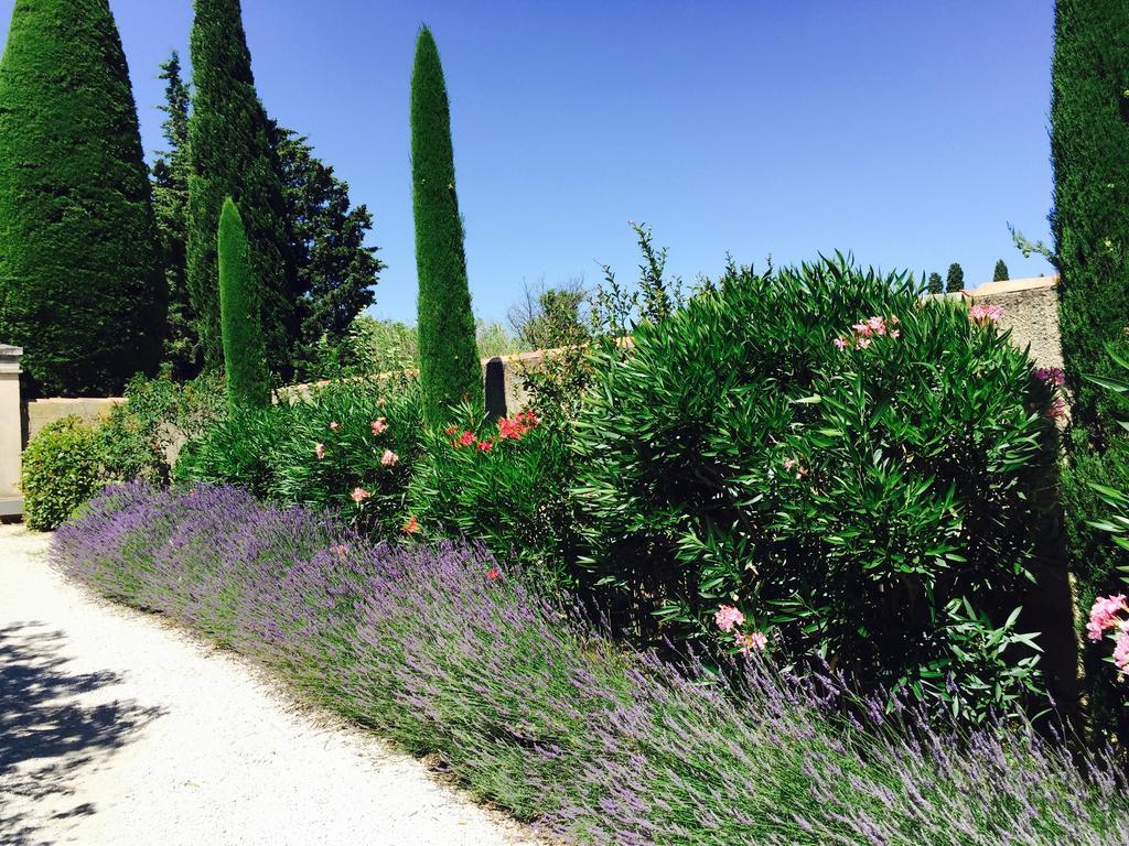 Le Mas Des Lauriers Bed and Breakfast Paradou Esterno foto